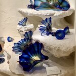 Photo taken by Deborah C