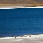 Photo taken by Ameet R