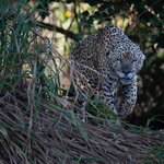 Photo taken by Matt W