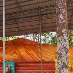 Photo taken by E.J. B