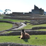 Photo taken by Natascia V