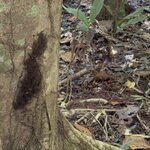 Photo taken by Sathees R