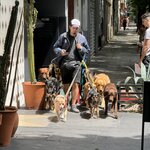 Photo taken by carlos d