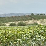 Photo taken by Darcy G