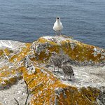 Photo taken by Sean S