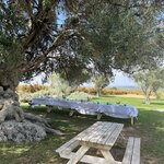 Photo taken by Catherine L