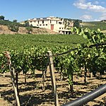 Photo taken by Allyson A