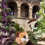 Photo taken by Don W