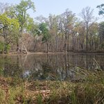 Photo taken by Jane G