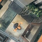 Photo taken by Traci V