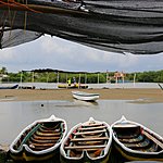 Photo taken by Linda M