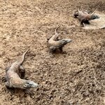 Photo taken by Jon P