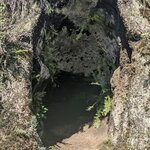 Photo taken by mimi s