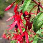 Photo taken by Arnie S