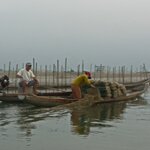 Photo taken by Brian C