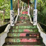 Photo taken by Rob C