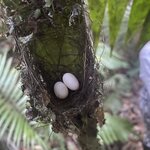 Photo taken by Nicole S