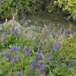 Photo taken by Ruth R