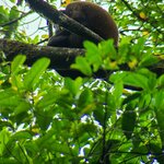 Photo taken by Emelyn J