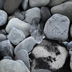 Photo taken by Sally L