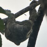 Photo taken by Darcy M