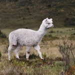 Photo taken by Marina N