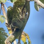 Photo taken by Samantha S