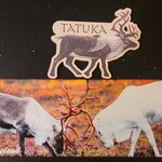 Photo taken by Moses K