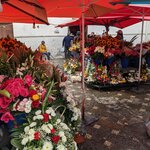 Photo taken by Tom K