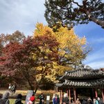 Photo taken by Adrian D