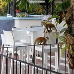 Photo taken by William R