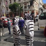 Fav crossing guards! | Photo taken by Darina B