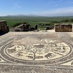 Photo taken by Tara Z