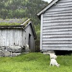 Photo taken by Susan K