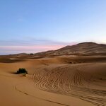 Photo taken by Mike K