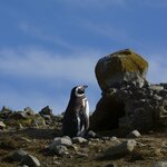 Photo taken by Martine B