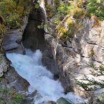 Photo taken by Virender V