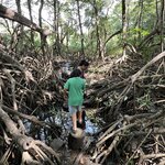 Photo taken by Patrice G