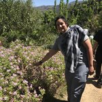 Photo taken by Victoria P