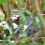 Photo taken by Graeme W