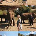 Photo taken by Beatrix K