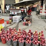 Photo taken by N.J. P