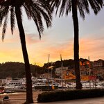 Photo taken by Suzanne C