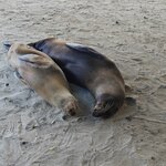 Photo taken by Vinay K