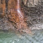 Photo taken by Dawn S