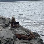 Photo taken by Debbie F