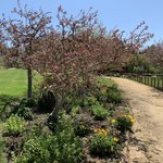 Photo taken by David & Sarah K