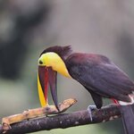 Photo taken by Jayme B