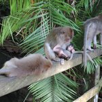 Photo taken by Matteo R