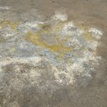 Photo taken by Cassandra M